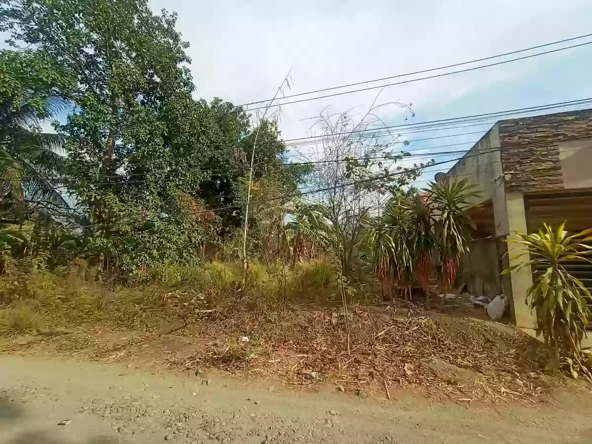 Lot For Sale — Residential Lot in Bacolod City, Negros Occidental, Philippines — Photo 6