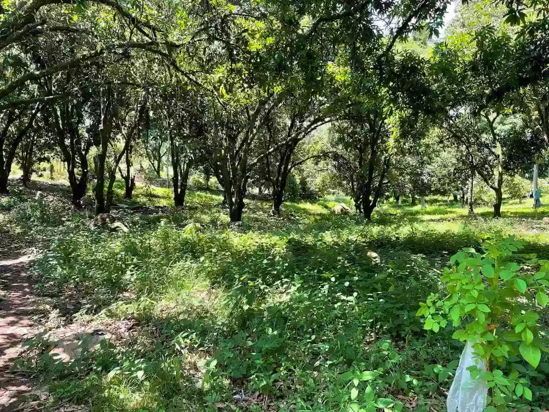 LOT FOR SALE! — Residential Lot in Toril, Davao City, Davao del Sur — Photo 2
