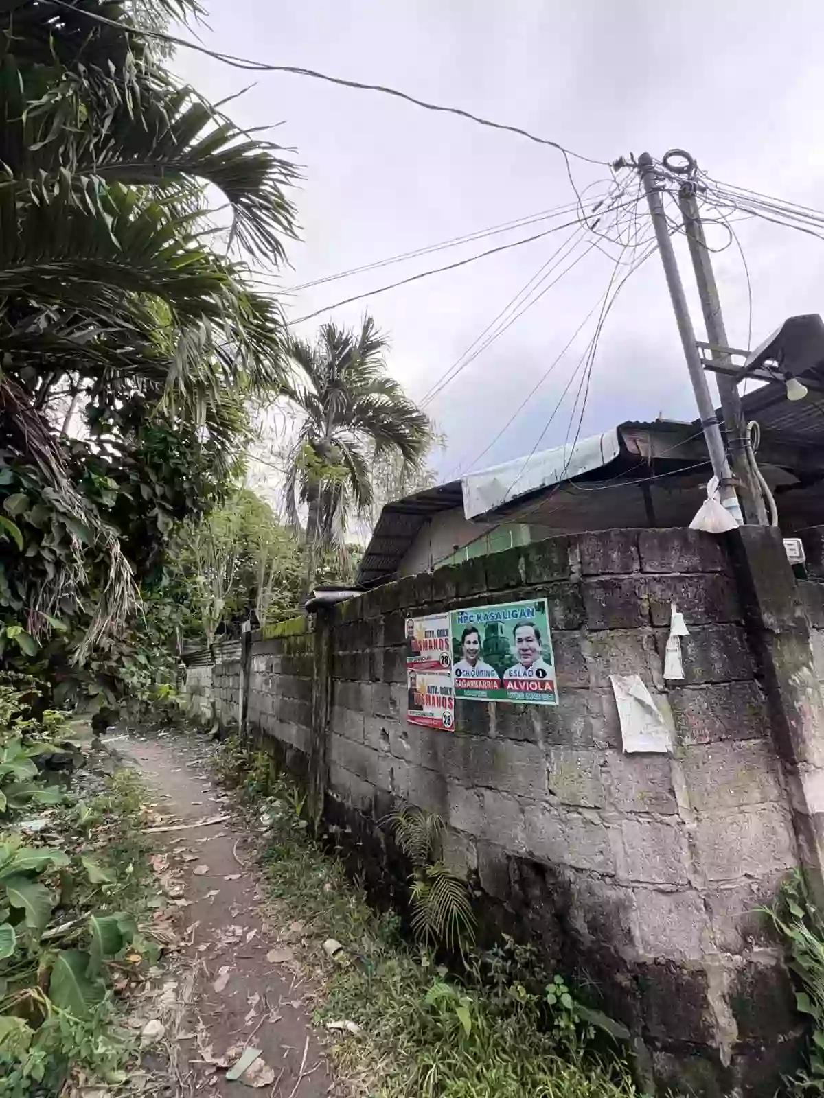 Lot For Sale With 2 Unit Apartment — Residential Lot in Dumaguete City, Negros Oriental, Philippines — Photo 2