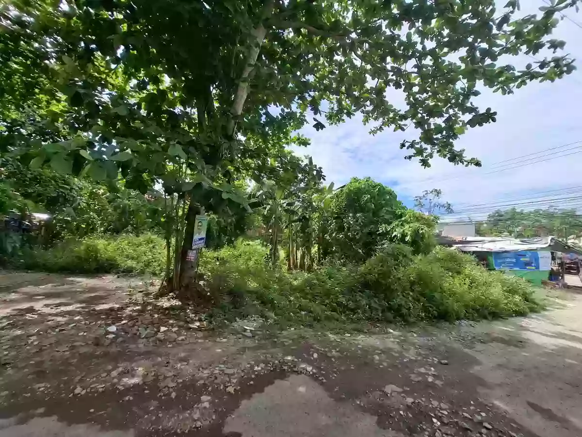 Commercial Lot for Sale Near North Gen. — Commercial Lot in Cebu City, Cebu, Philippines — Photo 2