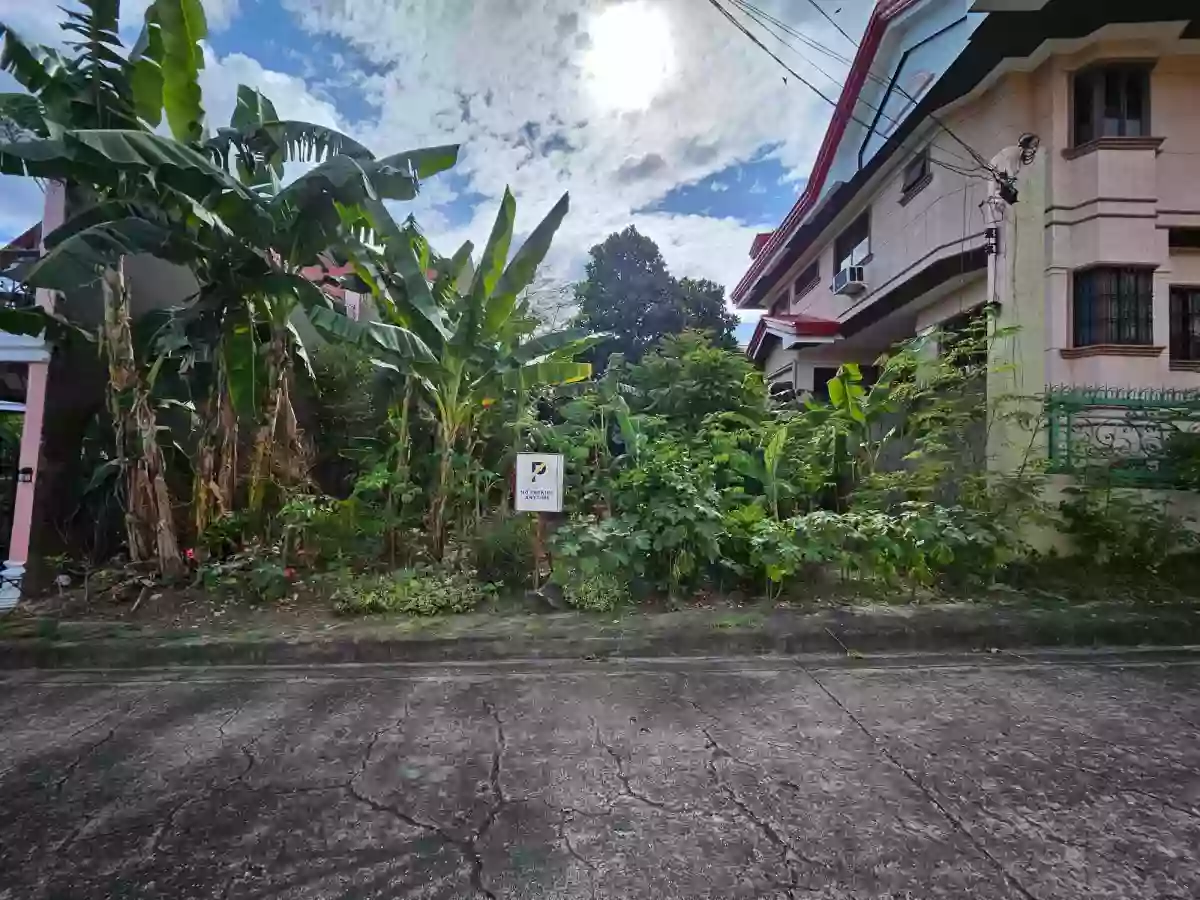 Lot For Sale (Newtown Estate, Pardo)