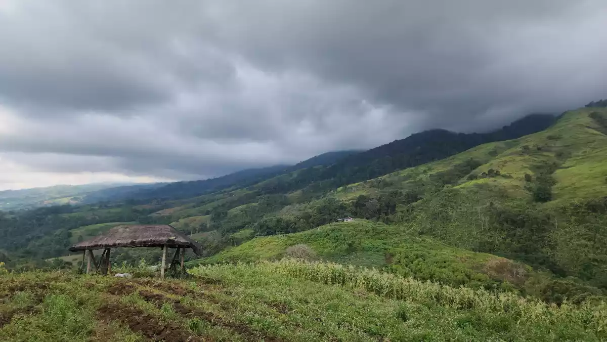 2.2 Hectares Farm Lot with 360° View in Basak, Lantapan, Bukidnon — Agricultural Lot in Lantapan, Bukidnon, Philippines — Photo 5