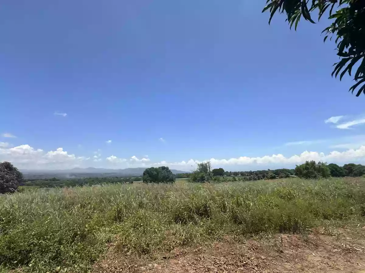 : Prime Agricultural Lot for Sale — Agricultural Lot in South Cotabato, Philippines — Photo 3