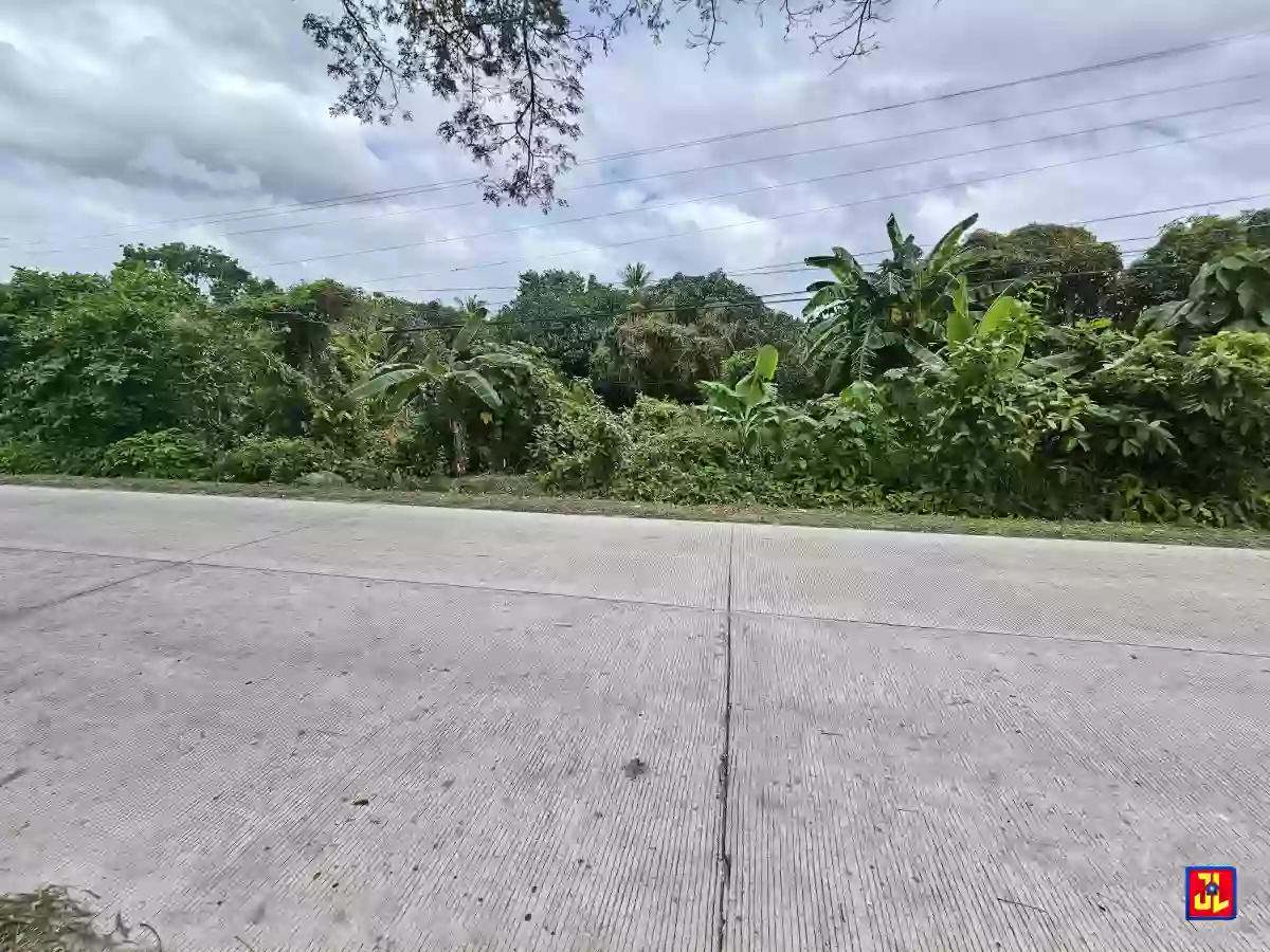 Rush Sale! Amazing Commercial Lot beside Airport Agan-an, Sibulan [available] — Commercial Lot in Negros Oriental, Philippines — Photo 3