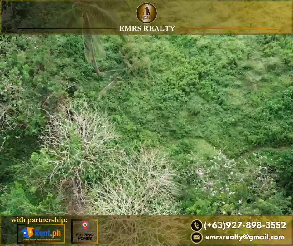FOR SALE! 1 HECTARE FLAT FARM LOT IN AMADEO, CAVITE near Tagaytay — Agricultural Lot in Amadeo-Indang Road, Amadeo, Cavite — Photo 2