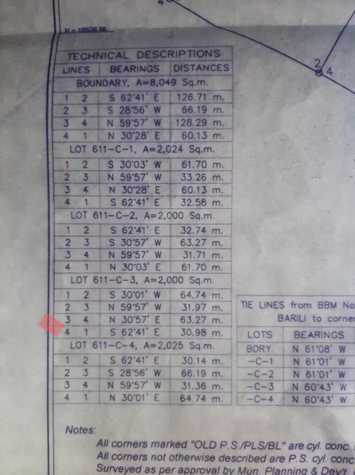 Lot for sale in Campangga Barili Cebu — Agricultural Lot in Barili, Cebu, Philippines — Photo 3
