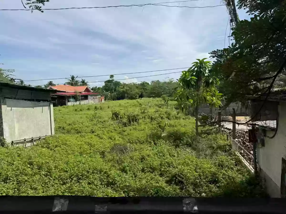 Commercial Property for sale in Carcar City Cebu — Commercial Lot in Cebu, Philippines — Photo 4