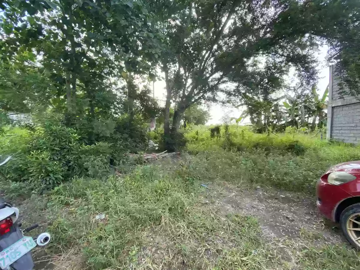 Lot for SALE — Residential Lot in Balayo Avenue, General Santos City, South Cotabato — Photo 4