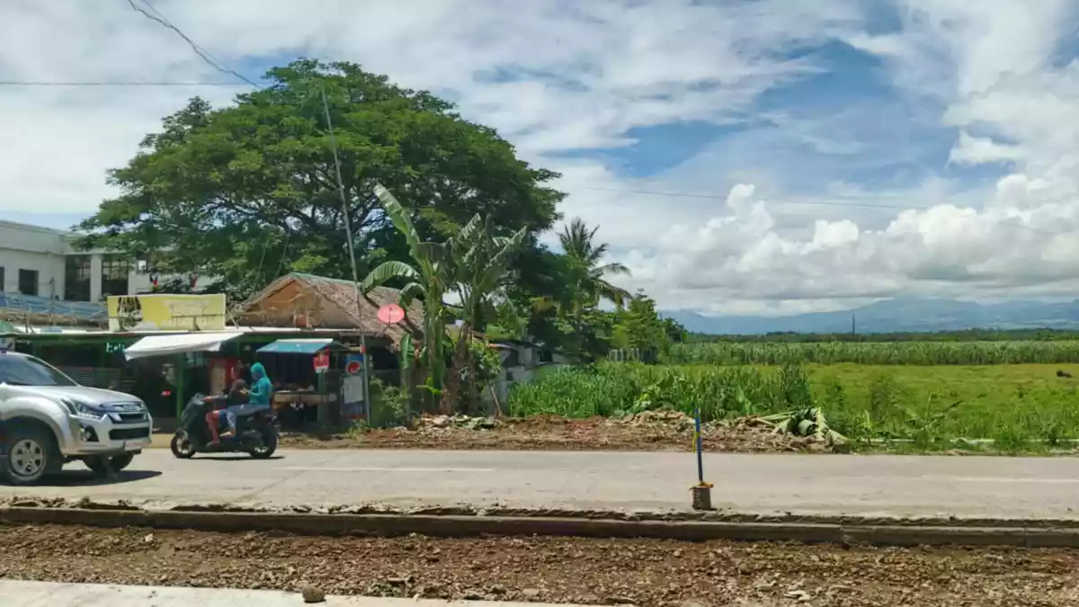 Himamaylan Lot for Sale 1,000sq.m. Lot area (open For rent) — Agricultural Lot in Negros South Road, Himamaylan, Negros Occidental — Photo 2