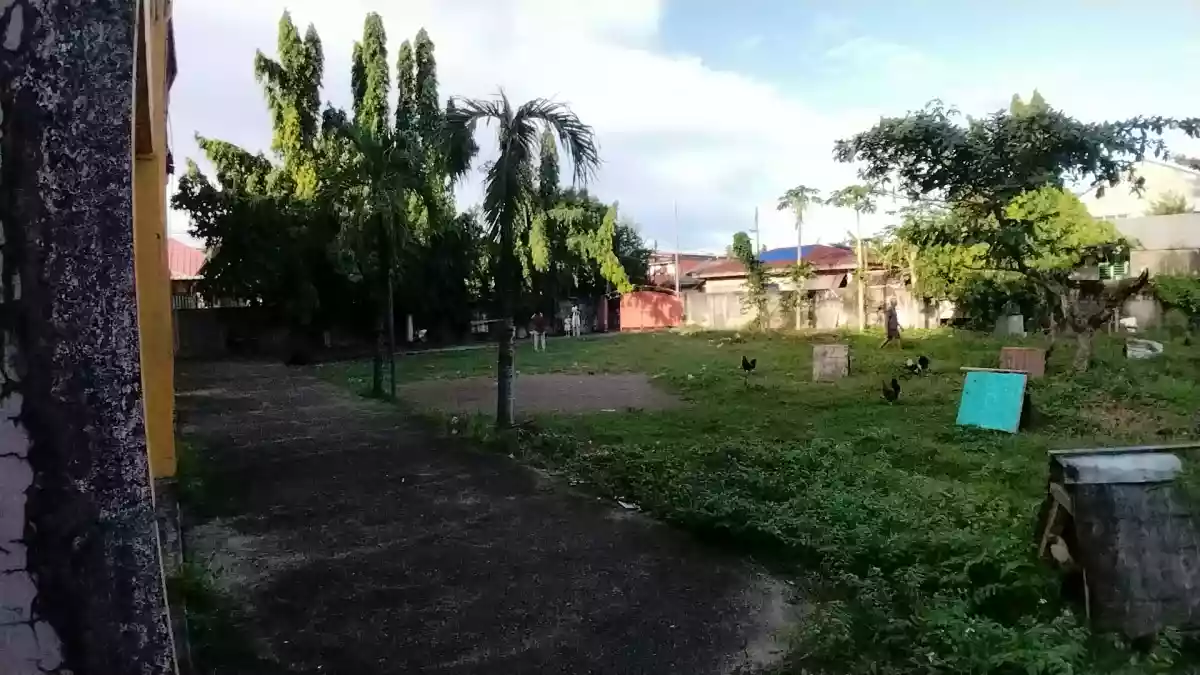 FOR SALE: PRIME 1,677 SQM PROPERTY with 5 Townhouse Apartment– Maribago Lapu-Lapu City, Cebu — Commercial Lot in Lapu-Lapu, Cebu, Philippines — Photo 3