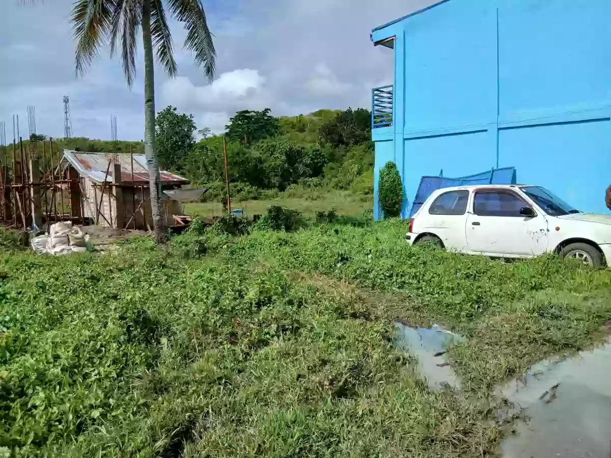 Residential Lot For Sale — Residential Lot in Sabang Danao City, Danao City, Cebu — Photo 2
