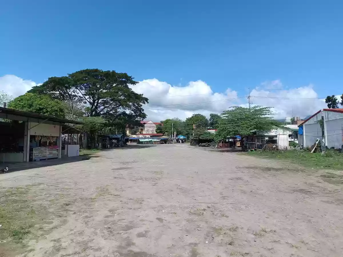 For Sale Commercial Lot 5000Sqm. Along Maharlika Highway Sariaya Quezon — Commercial Lot in Quezon, Philippines — Photo 2