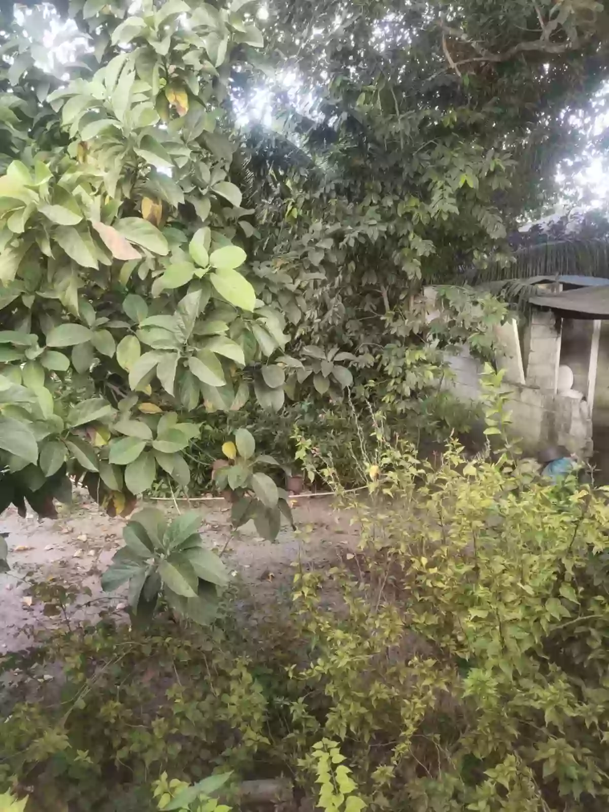 Gated and Fully-fenced Residential Lot in Apopong — Residential Lot in General Santos City (Dadiangas), South Cotabato, Philippines — Photo 3