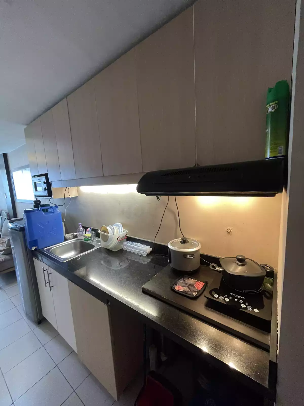 Open photo 13 of 13 — PRIME STUDIO SPACE IN PERSIMMON CEBU