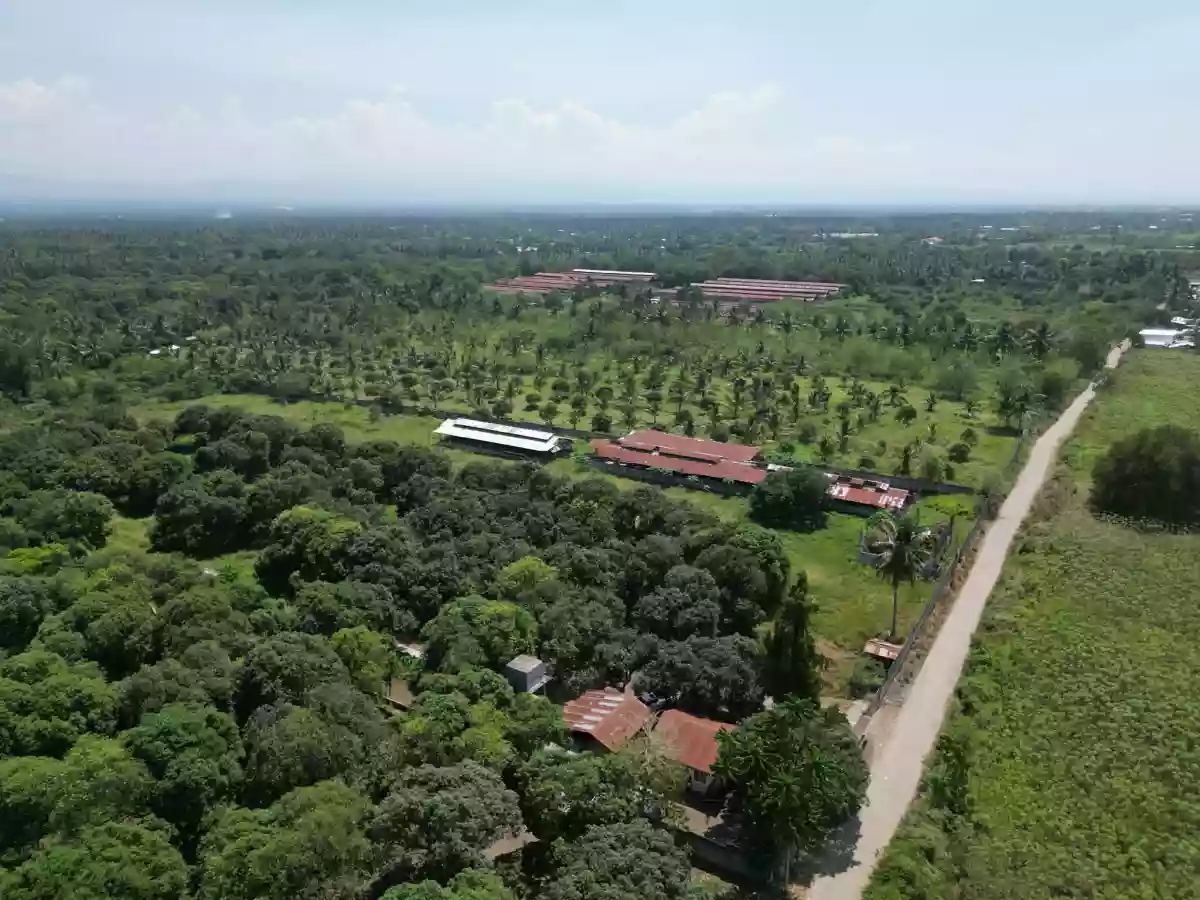 Open photo 13 of 20 — Piggery/Farm Lot For Sale in Odagre General Santos City Socksargen