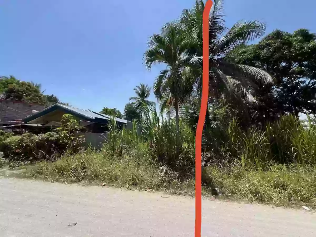 For Sale: 202sqm Residential Lot in Purok Villegas, Koronadal City near soon to rise SM Koronadal — Residential Lot in Carpenter Hill, Koronadal, South Cotabato — Photo 5
