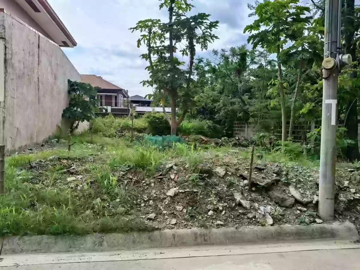 LOT for SALE — Residential Lot in Lapu-Lapu City, Cebu, Philippines — Photo 5