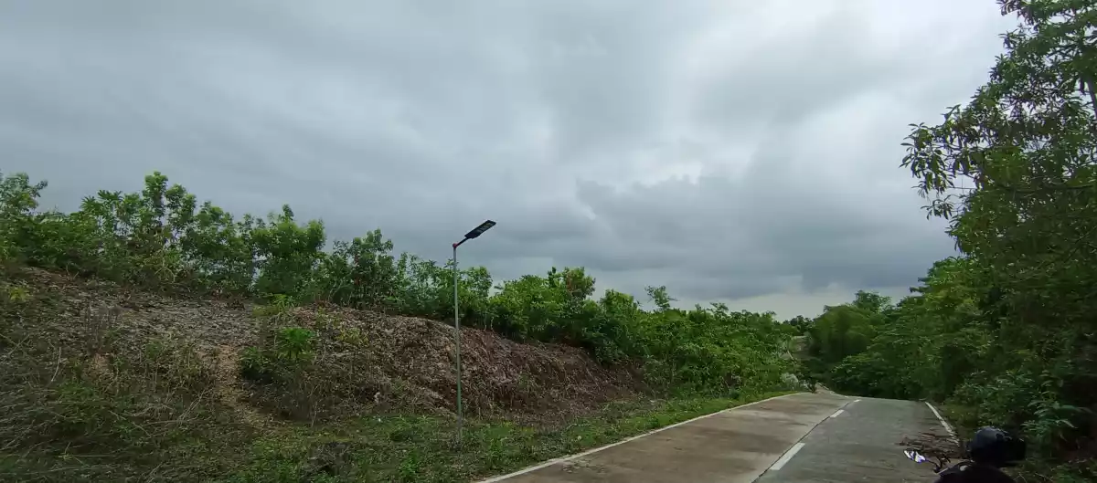 Lot For Sale in Sitio Libo, San Roque, Liloan Cebu — Agricultural Lot in Camino Vicinal Road, libho, Liloan — Photo 4