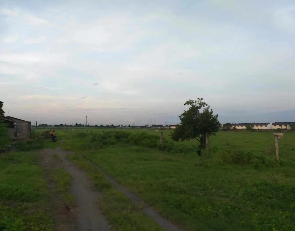 Lot For Subdivided — Agricultural Lot in MacArthur Highway, Capas, Tarlac — Photo 2