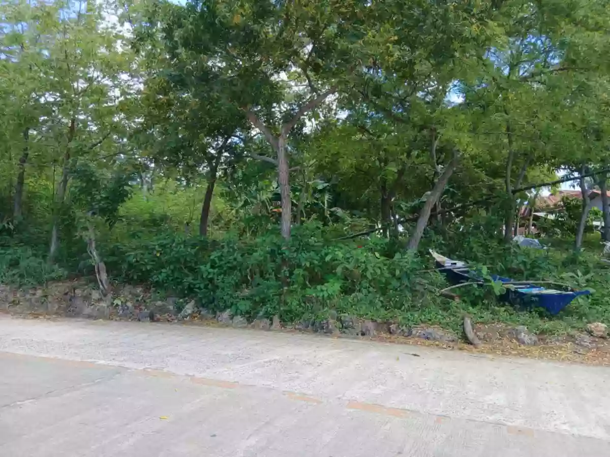 Residential Lot for sale — Residential Lot in San Francisco, Cebu, Philippines — Photo 5