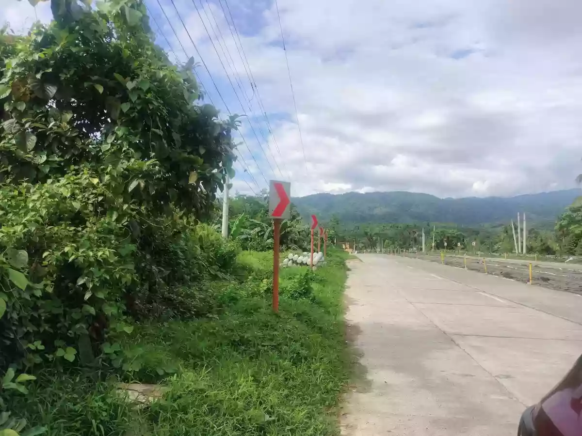 CLEAN TITLE VACANT LOT ALONG NATIONAL HIGHWAY — Agricultural Lot in Monkayo, Davao de Oro, Philippines — Photo 6