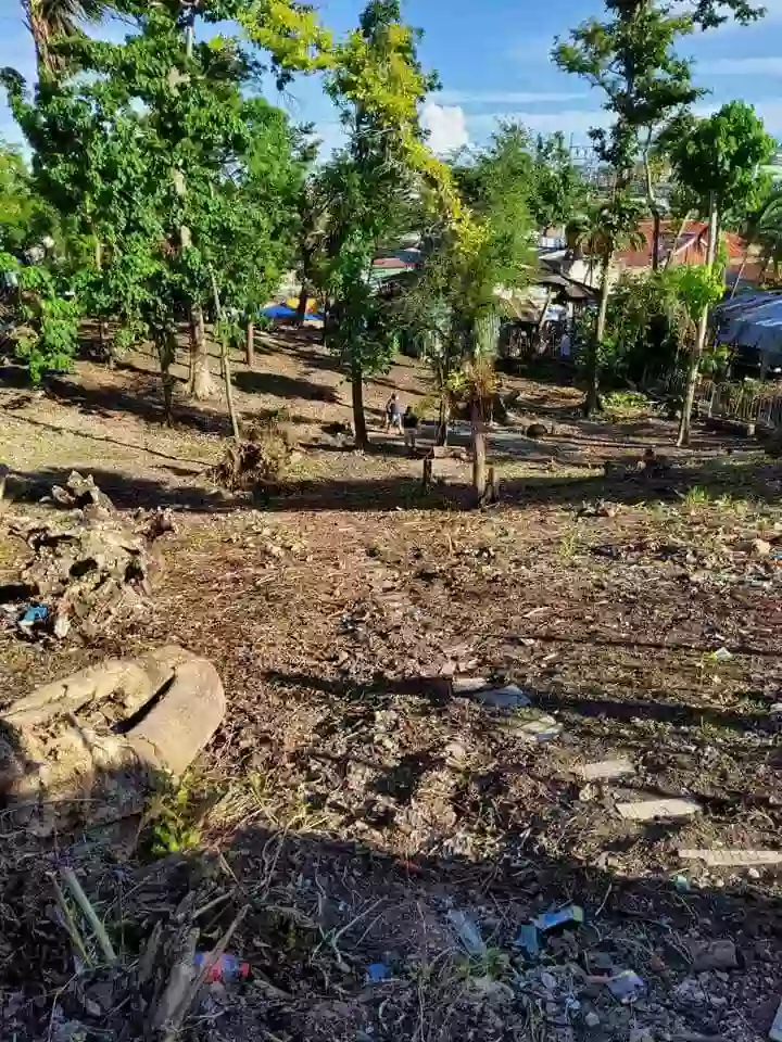 Consolacion Lot Only for Sale — Residential Lot in Consolacion, Cebu, Philippines — Photo 6
