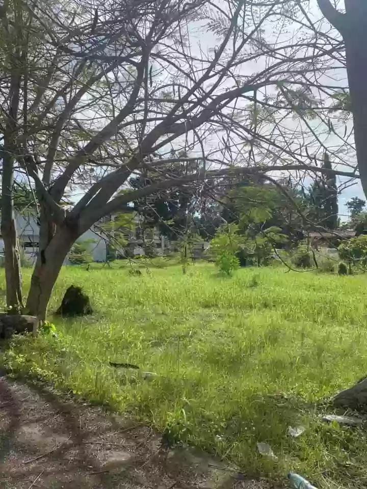 LOT FOR SALE IN SOUTHGROVE DAVAO — Residential Lot in Quimpo Boulevard, Talomo, Davao City — Photo 5