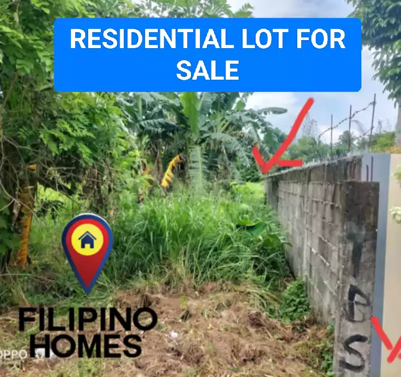513 SQM RESIDENTIAL LOT FOR SALE — Residential Lot in Naga City, Camarines Sur, Philippines — Photo 5
