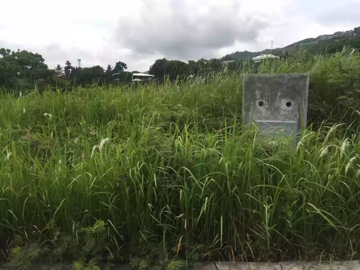 Monterrazas De Cebu Lot For Sale — Residential Lot in Philippines — Photo 4