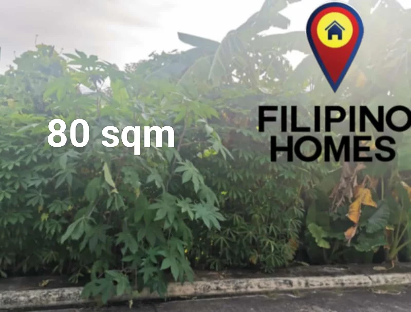 RESIDENTIAL LOT FOR SALE — Residential Lot in Naga City, Camarines Sur, Philippines — Photo 3
