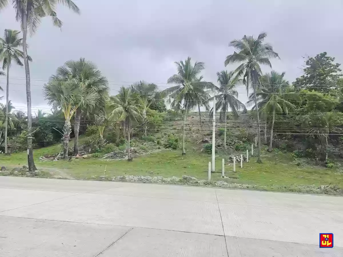 Rush Sale! From P7,000 to P6,250 per sqm! Prime Lot in Lalaan, San Jose, Negros Oriental [available]