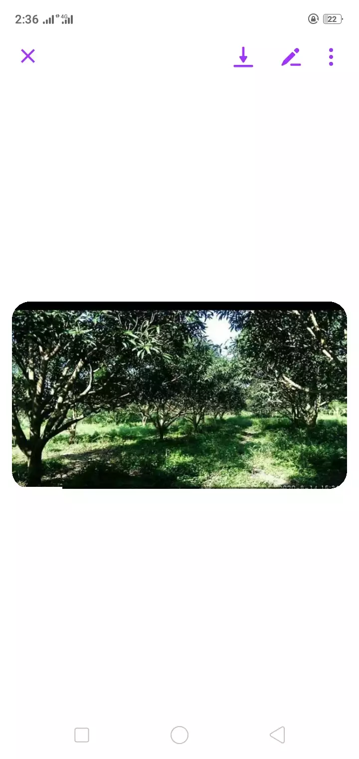 1.5 has commercial lot for sale — Commercial Lot in General Santos City, South Cotabato, Philippines — Photo 3