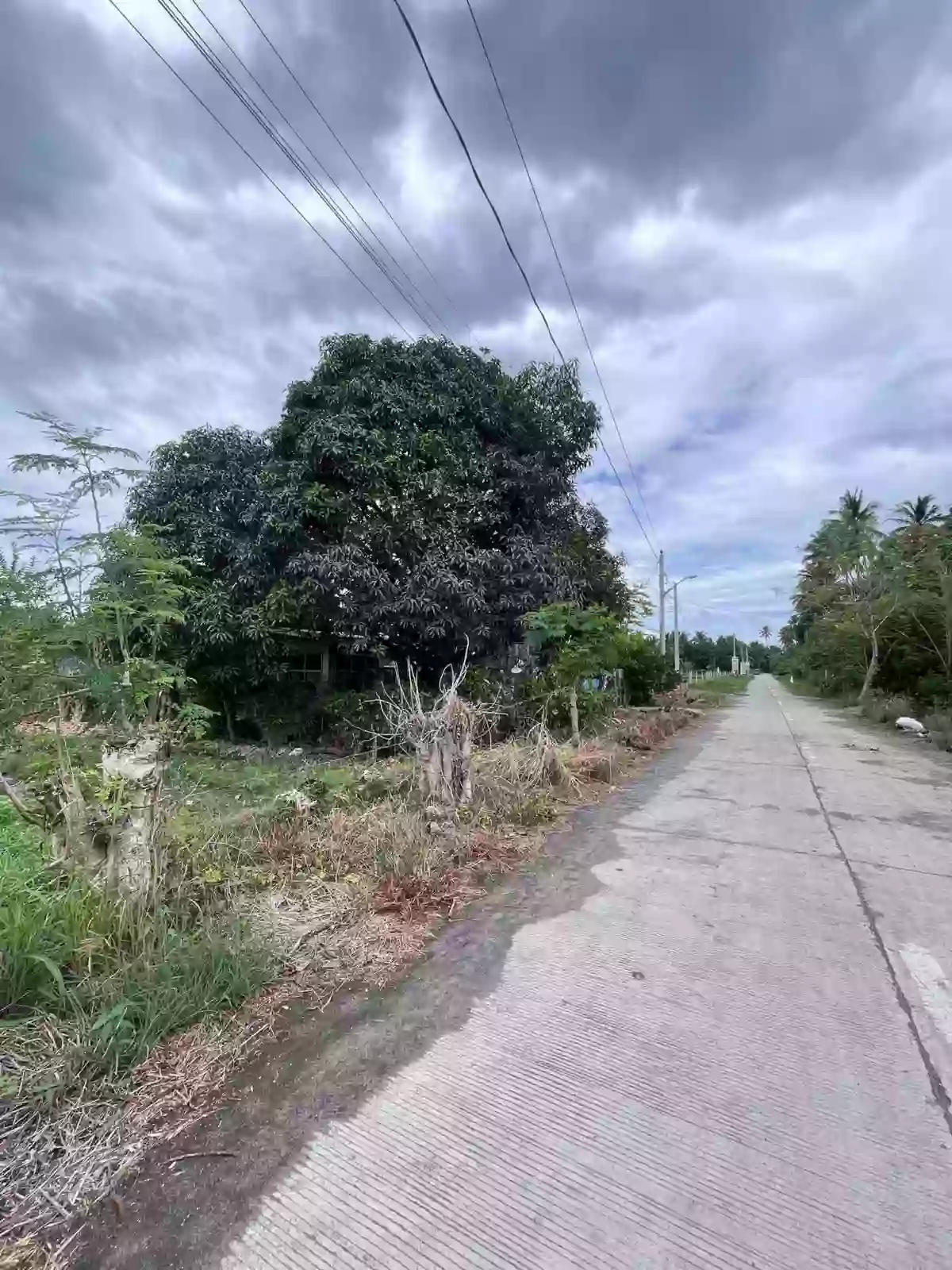 Lot near UST