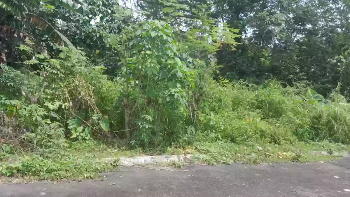 130726
