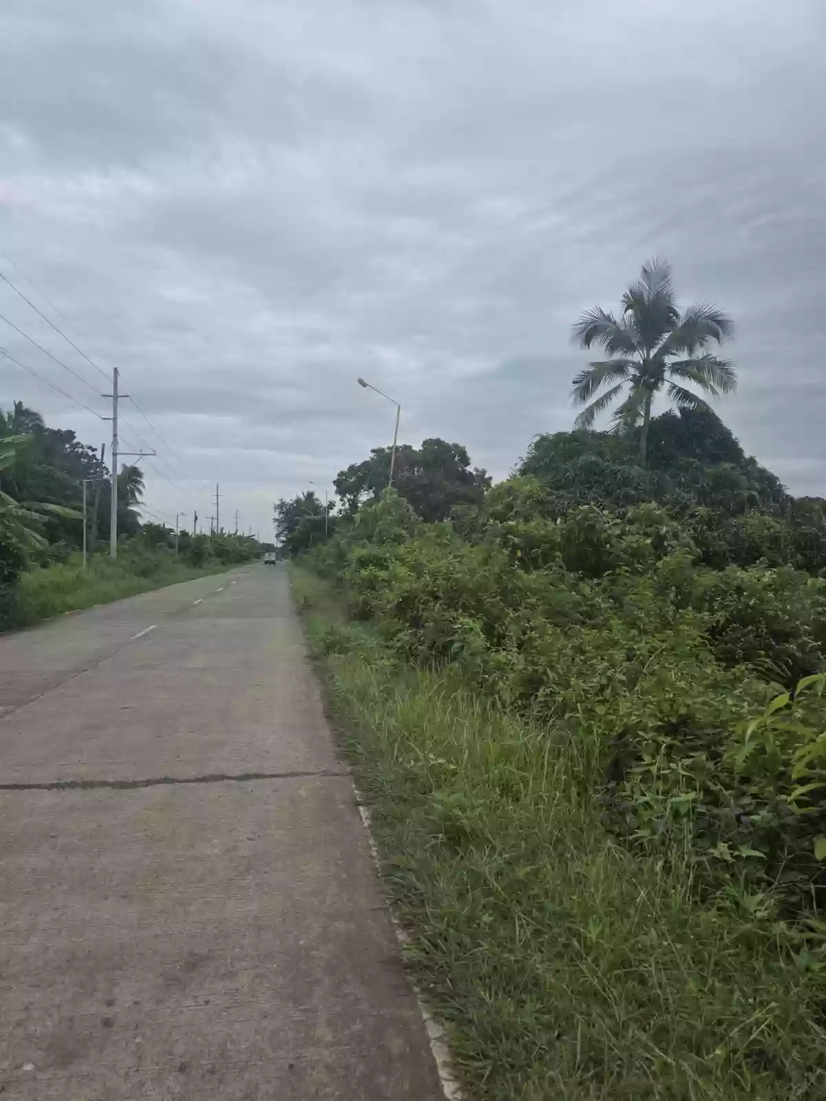 Wide Frontage Agriland in Daanbantayan — Agricultural Lot in Daanbantayan, Cebu, Philippines — Photo 2