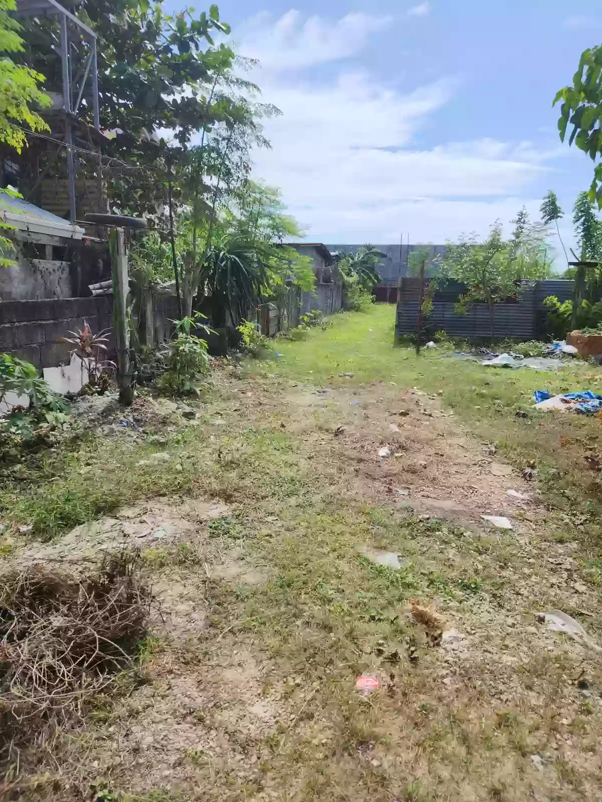 Residential/Commercial Lot for Sale — Residential Lot in Liloan, Cebu, Philippines — Photo 5