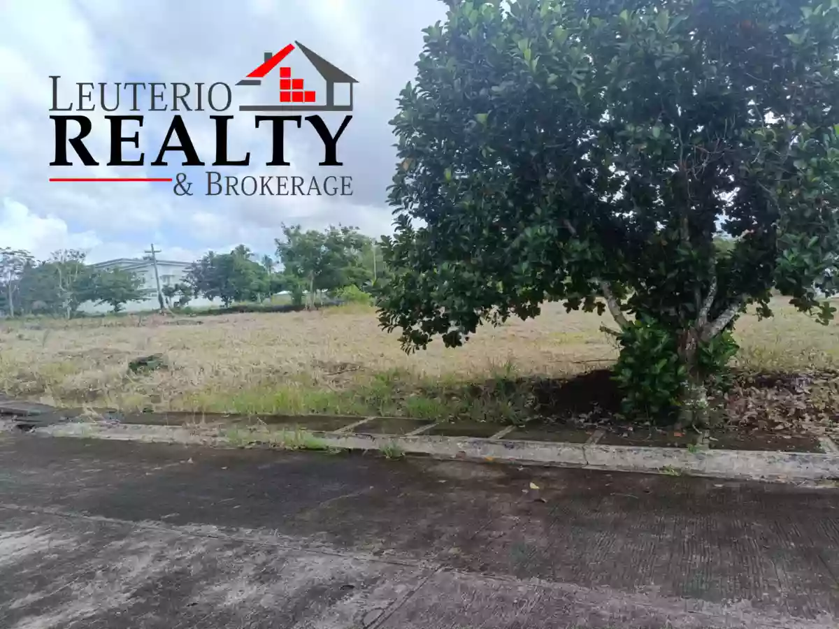 FOR SALE - RESIDENTIAL LOT IN PACOL NAGA CITY