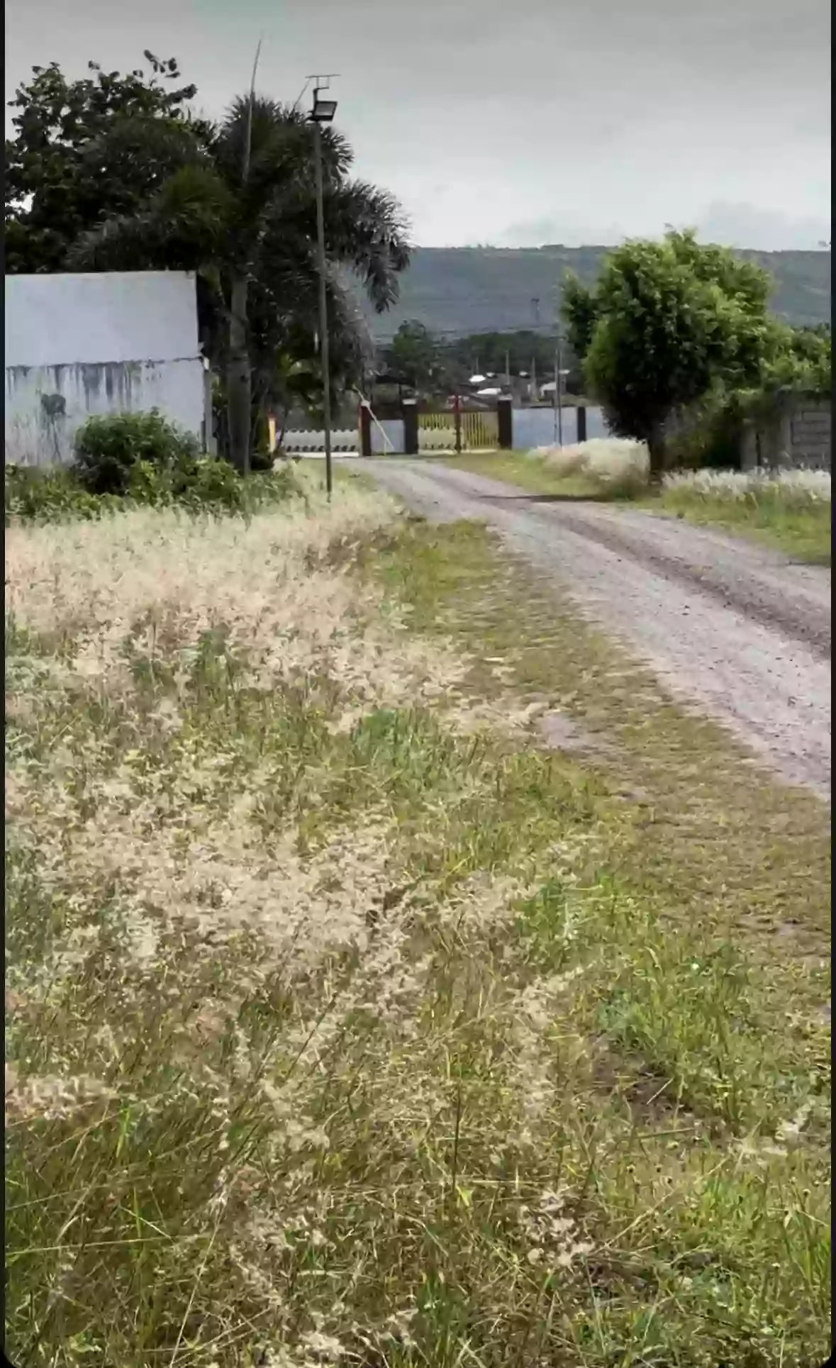 Residential  lot