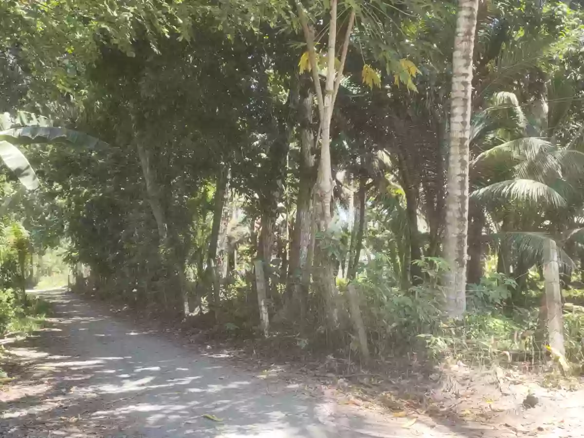 Lot Near UST — Agricultural Lot in General Santos City (Dadiangas), South Cotabato, Philippines — Photo 2