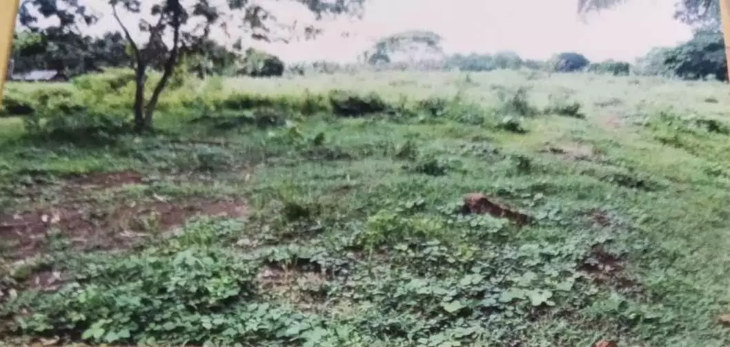 ORMOC FARM LOT FOR SALE — Agricultural Lot in Ormoc City, Leyte, Philippines — Photo 6