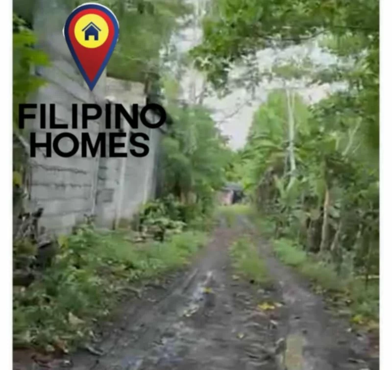 AGRI-FARM LOT FOR SALE — Agricultural Lot in Naga City, Camarines Sur, Philippines — Photo 3