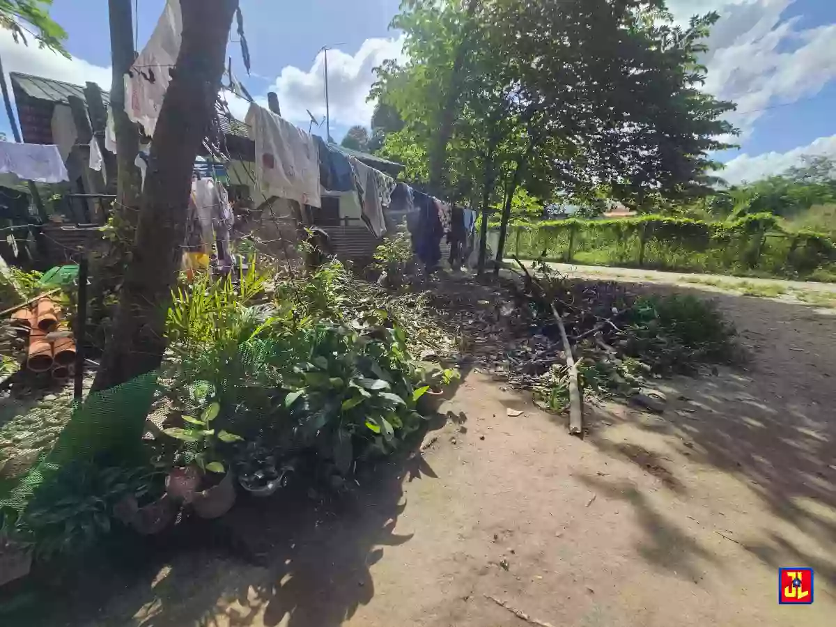 Rush Sale 2nd Lot from Diversion Road Batinguel, Dumaguete [available] — Residential Lot in Dumaguete, Negros Oriental, Philippines — Photo 3