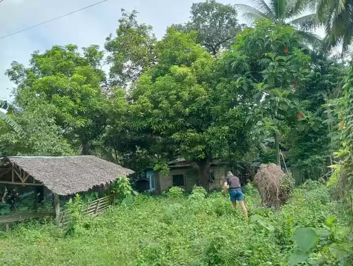 Residential Lot For Sale at Tak an. Tabuc Camalig Bato.Danao City — Residential Lot in Danao City, Cebu, Philippines — Photo 5