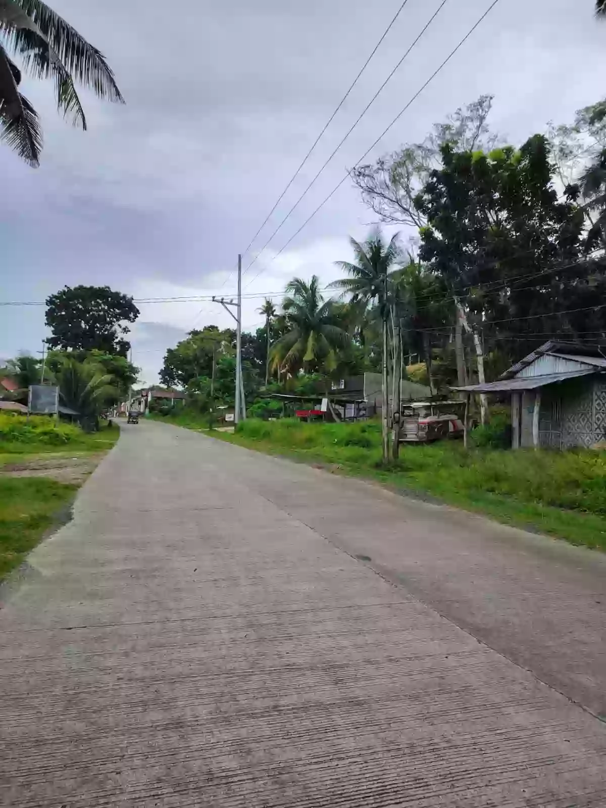 Lot for Sale in Baclayon, Bohol — Agricultural Lot in Baclayon, Bohol, Philippines — Photo 4