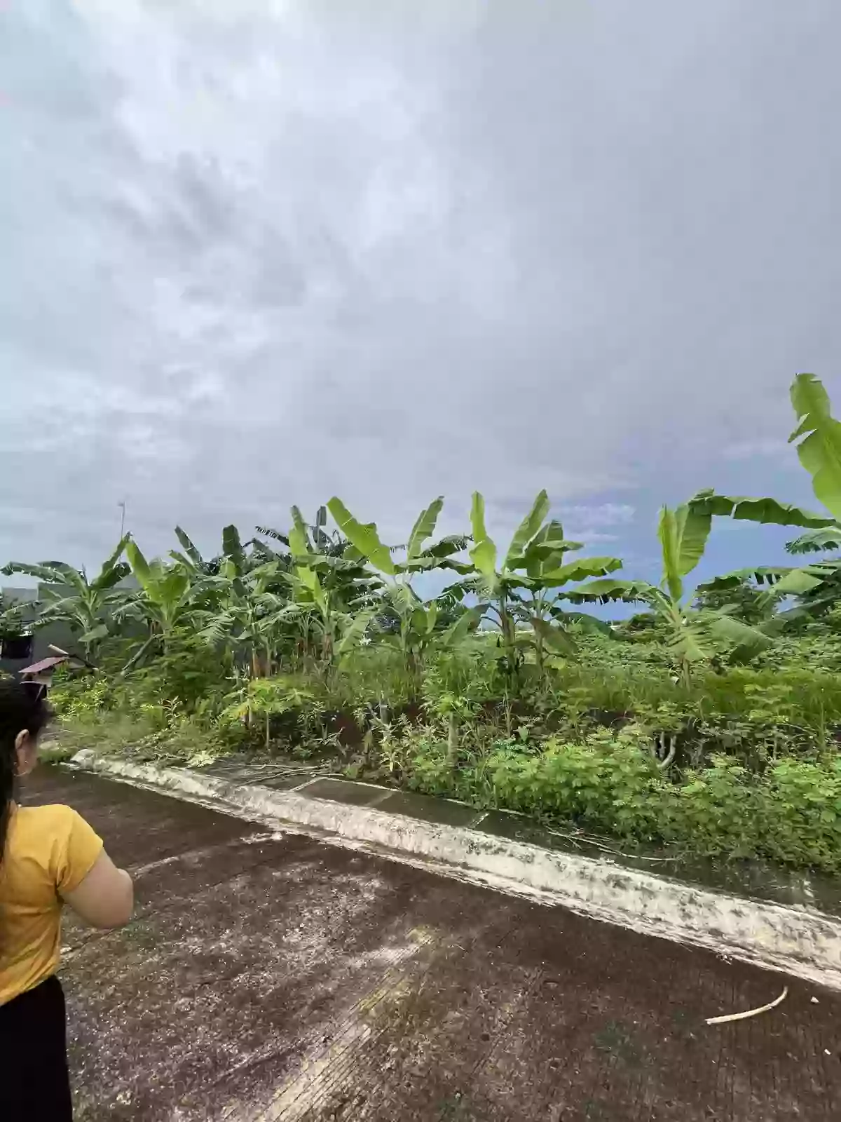 Lot for Sale — Residential Lot in Naga City, Camarines Sur, Philippines — Photo 5