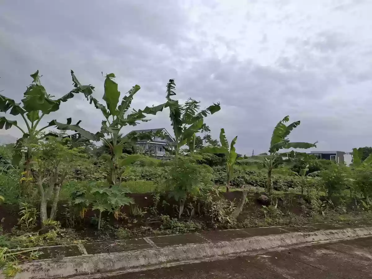 Lot for Sale — Residential Lot in Naga City, Camarines Sur, Philippines — Photo 3