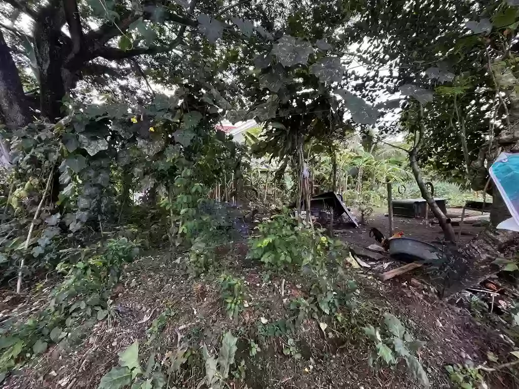 LOt 1, BLK 6, St.Paul Subdivision