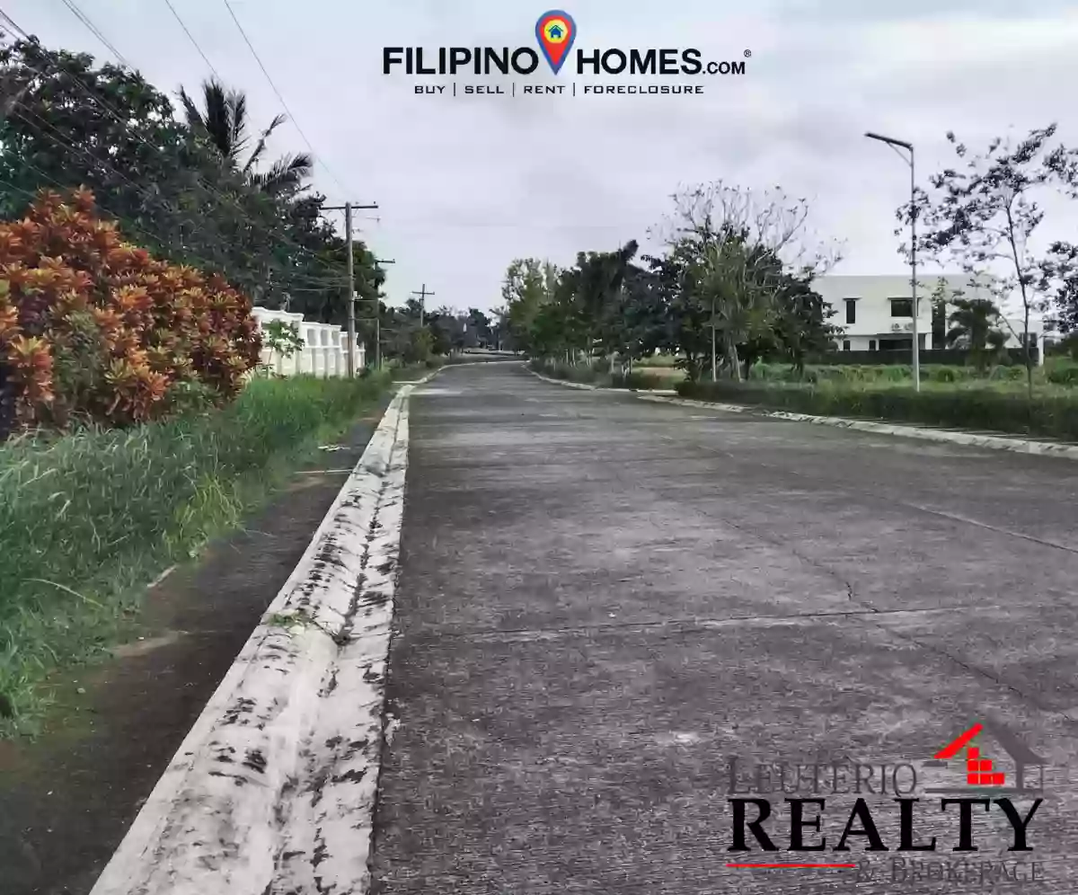 Residential Lot For Sale — Residential Lot in Naga City, Camarines Sur, Philippines — Photo 2