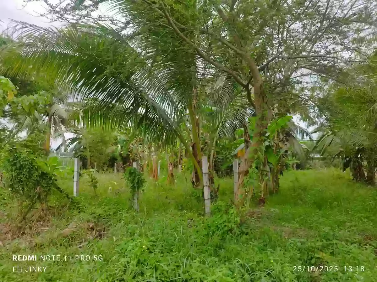 Residential Lot For Sale — Residential Lot in General Santos City (Dadiangas), South Cotabato, Philippines — Photo 4