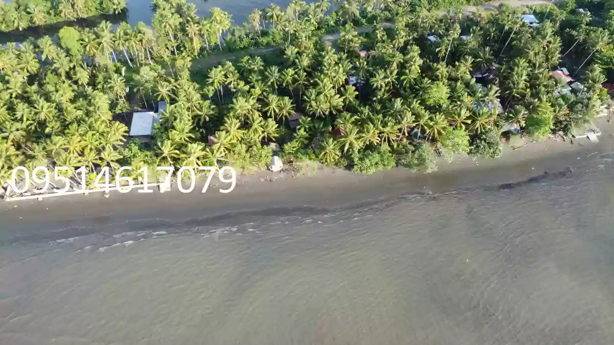 905 sqm Beachline Property in Busaon, Tagum City: Your Dream Beachfront Awaits — Beach Lot in Tagum, Davao del Norte, Philippines — Photo 4